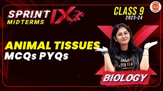 Sprint IX  Animal Tissues Class 9 Previous Year MCQs  Tissues Important Questions  CBSE Class 9 [upl. by Madlin]