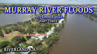 Murray River Floods 2022  Part Three  Swan Reach to Blanchetown [upl. by Medorra178]