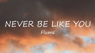 Flume  Never Be Like You ft Kai Lyrics [upl. by Hoisch]