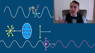 Optics Polarization Dichroism [upl. by Angela]