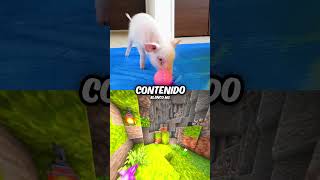 TODOS Pensaban que Este YouTuber Era un Psicópata 😭🐖 shorts curiosidades [upl. by Stelle]