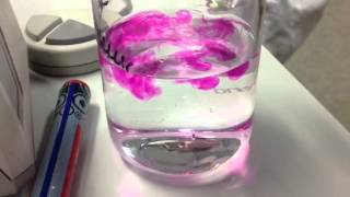 NaOH  Phenolphthalein [upl. by Henderson36]