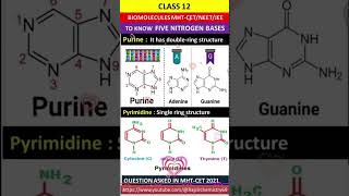 nitrogenous basebiomolecules biomleculespyqbiomolcules tricks [upl. by Baalman]