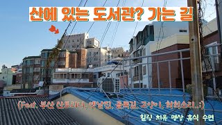 산에 있는 도서관 가는길The road to the library in the mountain 부산 길거리 거리뷰 골목길 고양이 구옥 [upl. by Sucerdor]