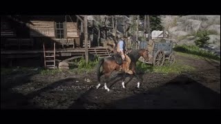 Red Dead Redemption 2 Horseman 6 Arthur With The Turkoman And White Male Arabian [upl. by Materse]