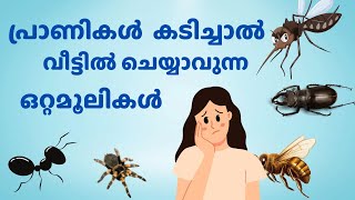 ചെറിയ പ്രാണികൾ കടിച്ചാൽ ചെയ്യേണ്ട ഒറ്റമൂലികൾ ottamooli homeremedies facts angaadikada [upl. by Enawd676]