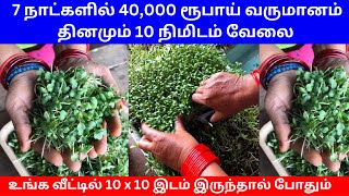 7 நாட்களில் 40000 ரூபாய் வருமானம் தினமும் 10 நிமிடம் வேலை ​ Small Business Ideas  Tamil [upl. by Nnaeoj]