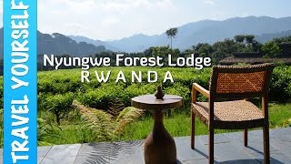 Nyungwe Forest Lodge Rwanda [upl. by Ayna]