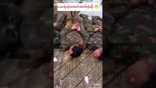 ရှမ်းမြောက်မှ စစ်ခွေးလေးများ😁kyawmyomin shorts viralvideo myanmarrevolution freedomfighter [upl. by Pandich145]