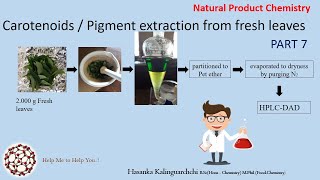 Carotenoidspigments extraction from green leaves part 7 [upl. by Honora]