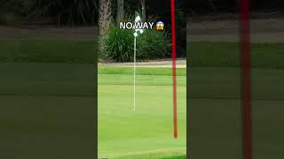 He made an ALBATROSS from 244 yards out 😱👏 via gmgolfTT [upl. by Niwroc]