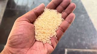 Best Rice in India  Most Famous South Indian Rice  Kolam Rice  Surti Kolam Rice  Keep Suppot [upl. by Asile]