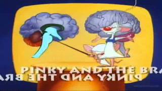 Pinky and The Brain Theme Song Instruments Up [upl. by Nauqel36]