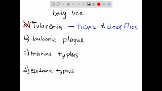 Which of the following diseases is transmitted by body lice a tularemia b bubonic plague c muri… [upl. by Nyvrem]