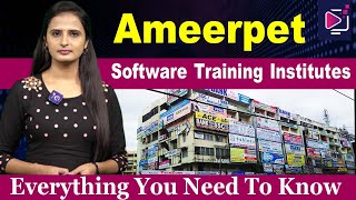 Ameerpet Software Training Institutes  Everything You Need To Know [upl. by Bearnard]