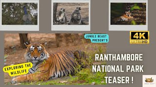 Ranthambore national park teaser 4K [upl. by Namso491]