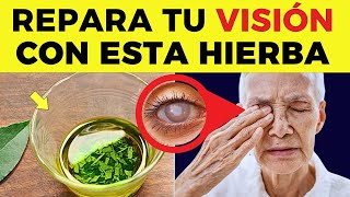 ¡ESTA es LA MEJOR HIERBA Para Proteger los OJOS y Reparar la VISIÓN DE forma natural [upl. by Leterg551]