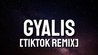 Capella Grey  Gyalis TikTok Fast Remix Lyrics  its just the vibe Im that guy [upl. by Leaj548]