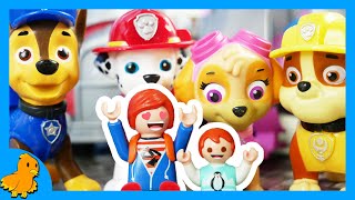 Emma und Julian treffen Chase und Skye PAW PATROL Playmobil Film Familie Vogel [upl. by Feinleib]