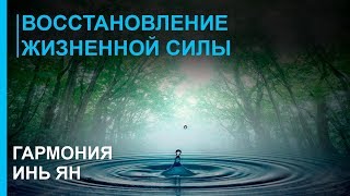 Музыка для Восстановления Жизненной Силы ☯ Гармония Инь Ян ☯ Лучшая Релакс Музыка 2019 [upl. by Nats]