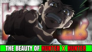 HUNTER X HUNTER Review  The Beauty of HxH [upl. by Ailegra]