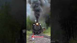 centovalli train centovalli train videos shorts viralvideo centovallitrain [upl. by Adekram]