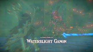 Zelda BOTW Waterblight Ganon Rematch In The Illusory Realm DLC Pack 2 [upl. by Shaine]