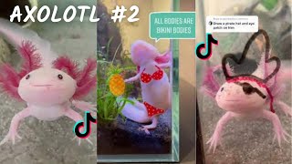 Axolotl  TikTok amp İntagram Compilation 2023 4K PART 2 [upl. by Kerin]