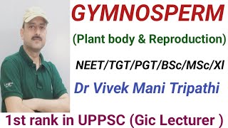 GYMNOSPERM  NEET  PGT  TGT  MSC  UPHESC BSc [upl. by Itsud]