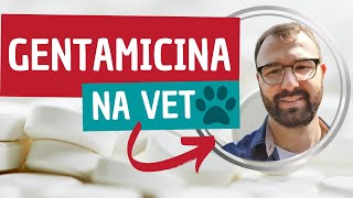 Você conhece as características da GENTAMICINA na Veterinária [upl. by Aihtak]