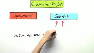 Chorea Huntington  Biologie  Genetik [upl. by Loeb964]