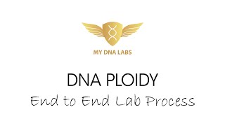 DNA Ploidy End to End Lab Process [upl. by Thamos]