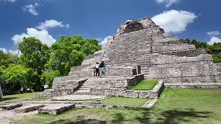 2024 Monkeys at Chacchoben Mayan Ruins [upl. by Imnubulo]