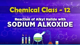 Reaction of Alkyl Halide with Sodium Alkoxide  Chemistry Class 12 [upl. by Yarased]