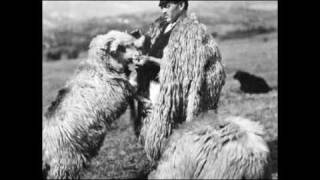 Sârbă ciobănească  Pastoral dance [upl. by Ellersick]