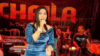 Terlalu  Cover Mutiara Valen  Chaila Live Musik [upl. by Ecneps]