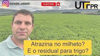 Dia 15032024 Ainda dá tempo de semear um milhetinho [upl. by Anees]