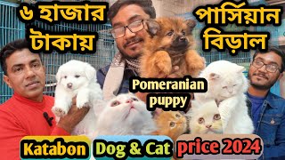 Katabon animal market in bangladeshKeeshond dogPomeranian dog Persian Cat Dog and cat price 2023 [upl. by Akcirederf]