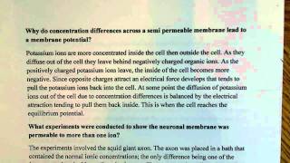 membrane potential and permeability [upl. by Yrroc610]