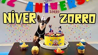 A FESTA SUPRESA DE ANIVERSÁRIO DO ZORRO 🥳✨ [upl. by Rise]