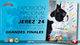 Exposiciones Nacional Canina  Jerez 2024 [upl. by Irmgard]