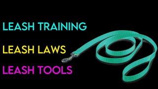 Leash Laws Leash Training Tools and more [upl. by Lira]