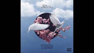 SZA  Doves in the Wind Solo Version [upl. by Tisbee275]