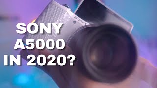 Is The Sony a5000 Still Good In 2020 [upl. by Lemor]