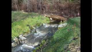 Fish Trap Creek Salmon Ladder [upl. by Ardnajela289]