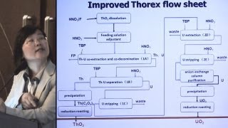 Li Qingnuan  Thorium Molten Salt Reactor TMSR Fuel ProcessingReprocessing  ThEC12 [upl. by Summons]