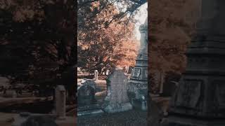 Lowell Cemetary Walk [upl. by Eisned]