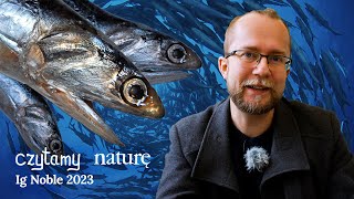 Co się kłębi pod powierzchnią oceanu Ignobel z fizyki  Czytamy naturę [upl. by Zurkow]