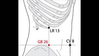 2 A Acupuncture 26 VB Dai Mai 带脉 point des leucorrhées et des dysménorrhées [upl. by Snodgrass]