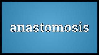 Anastomosis Meaning [upl. by Gildas]